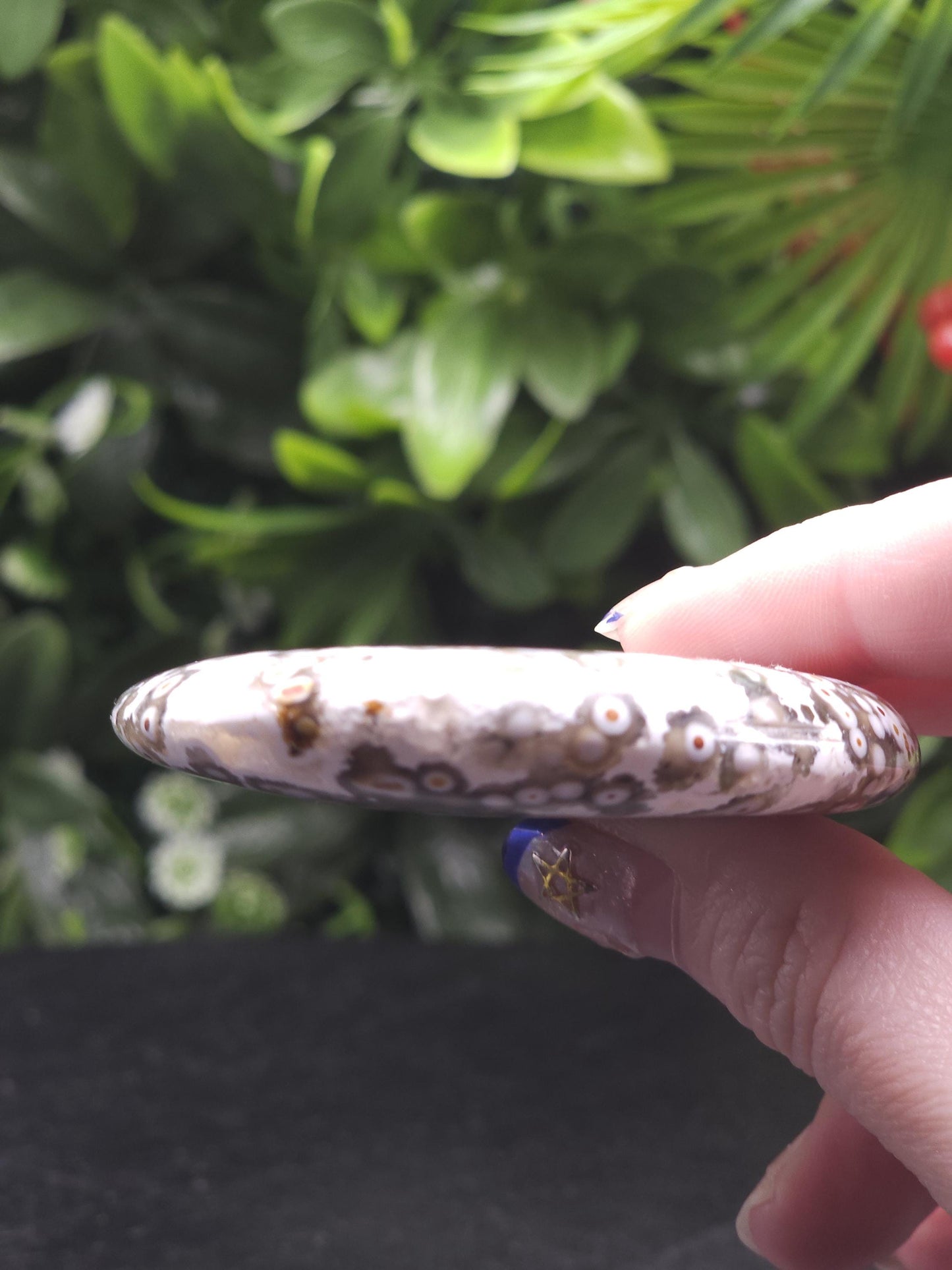 Rare 8th Vein Maravoto Ocean Jasper Palm Stone