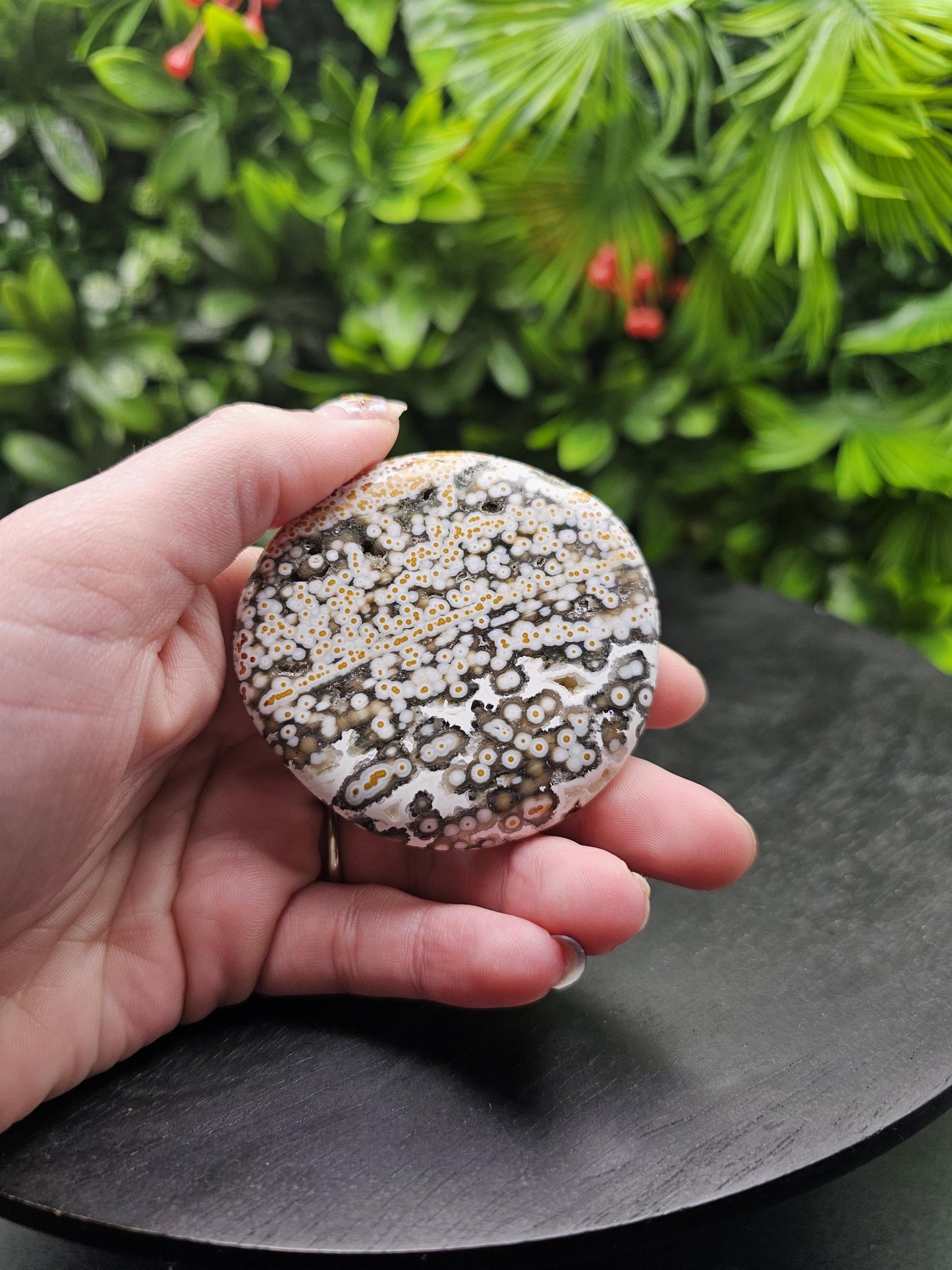 Rare 8th Vein Maravoto Ocean Jasper Palm Stone