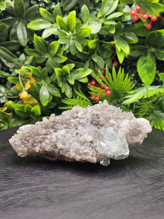 Rare and Majestic Natural Smoky Quartz with Green Fluorite Mixed Specimen.