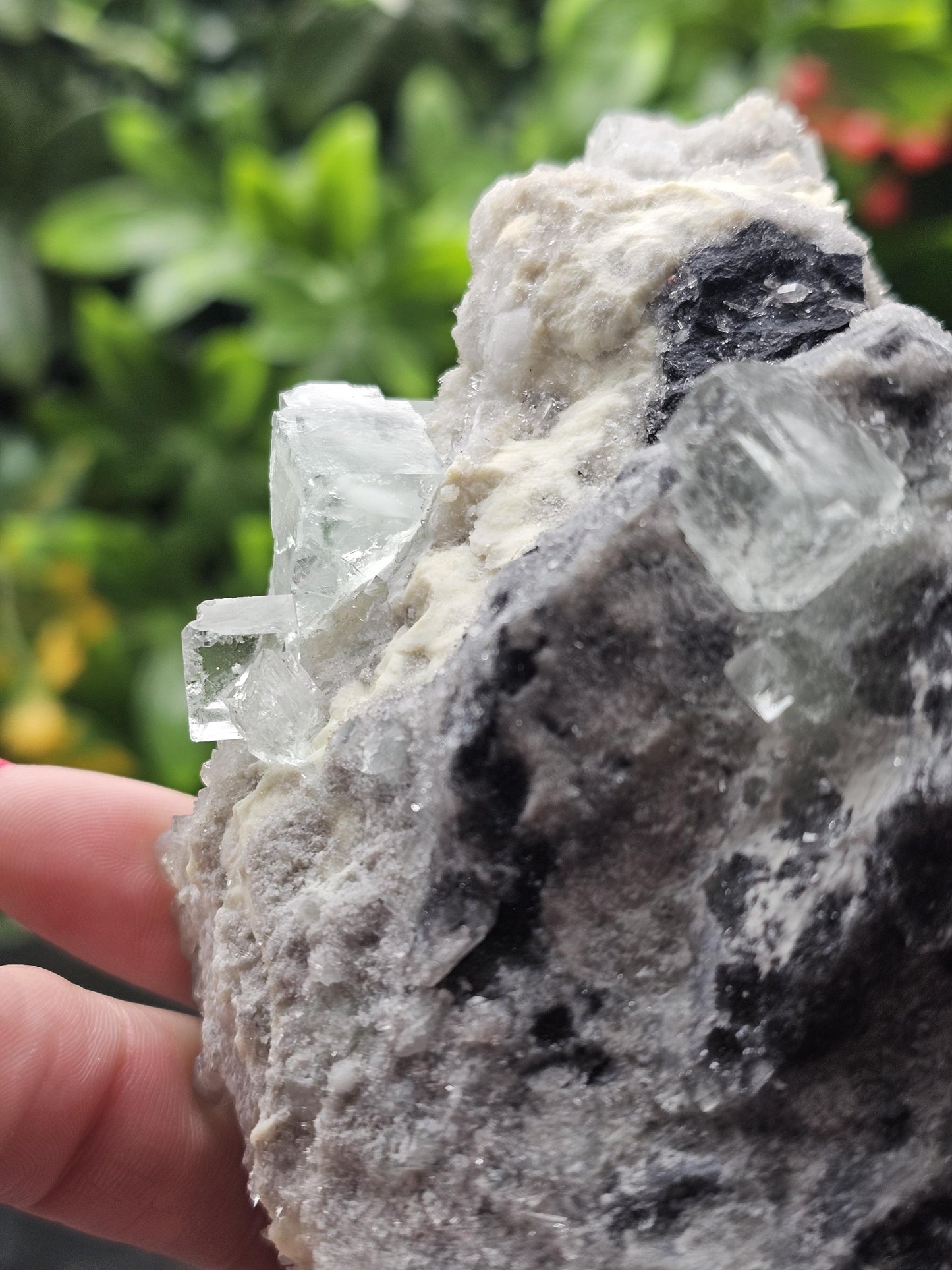 Rare and Majestic Natural Smoky Quartz with Green Fluorite Mixed Specimen.