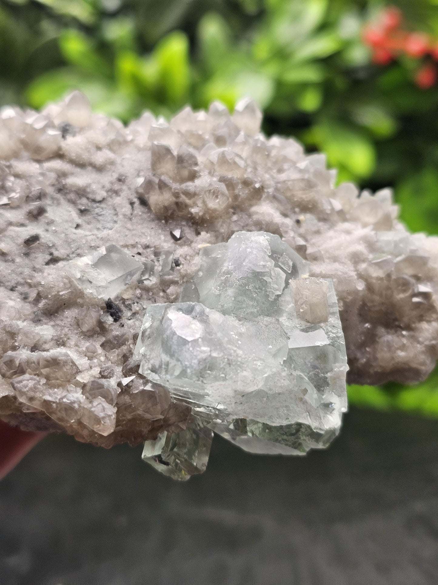 Rare and Majestic Natural Smoky Quartz with Green Fluorite Mixed Specimen.