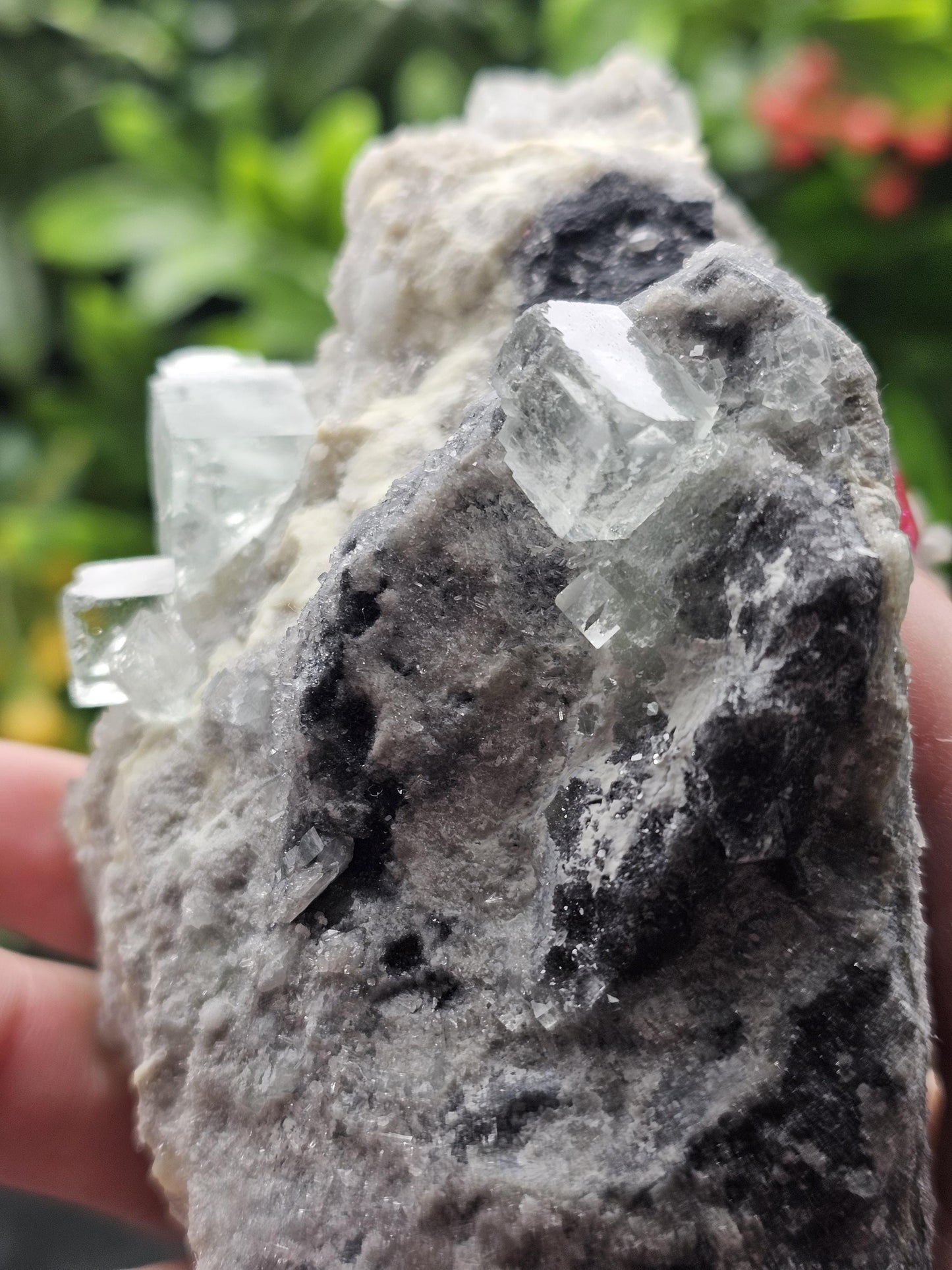 Rare and Majestic Natural Smoky Quartz with Green Fluorite Mixed Specimen.