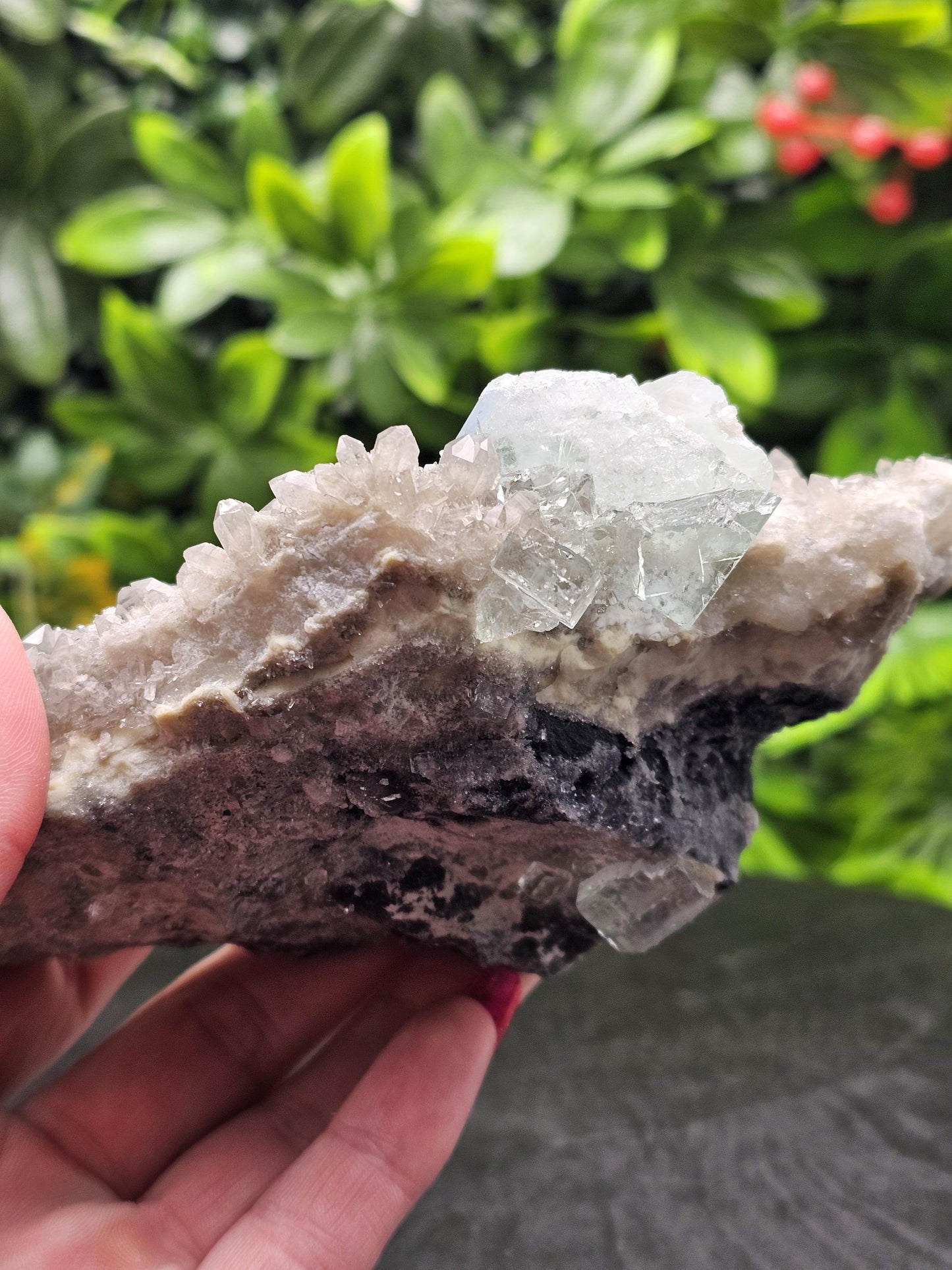 Rare and Majestic Natural Smoky Quartz with Green Fluorite Mixed Specimen.