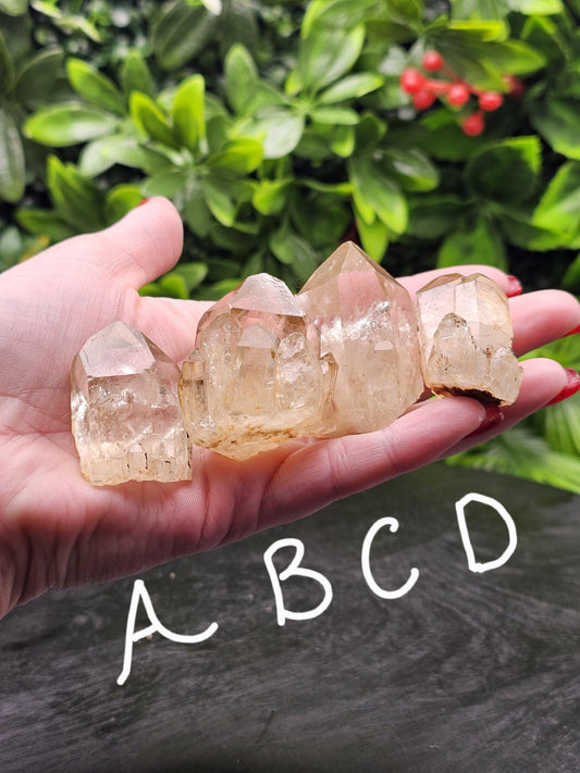 Kundalini Citrine semi-small Points multiple to choose from with Rainbows!