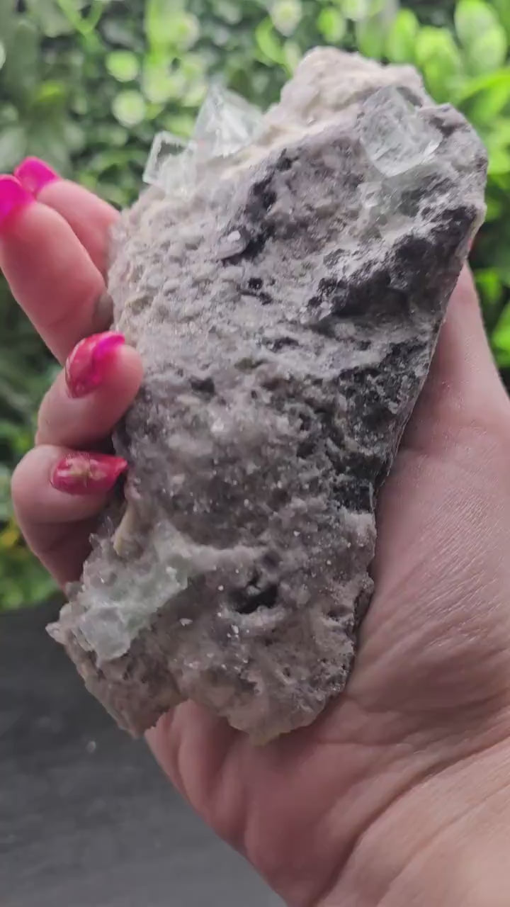 Video