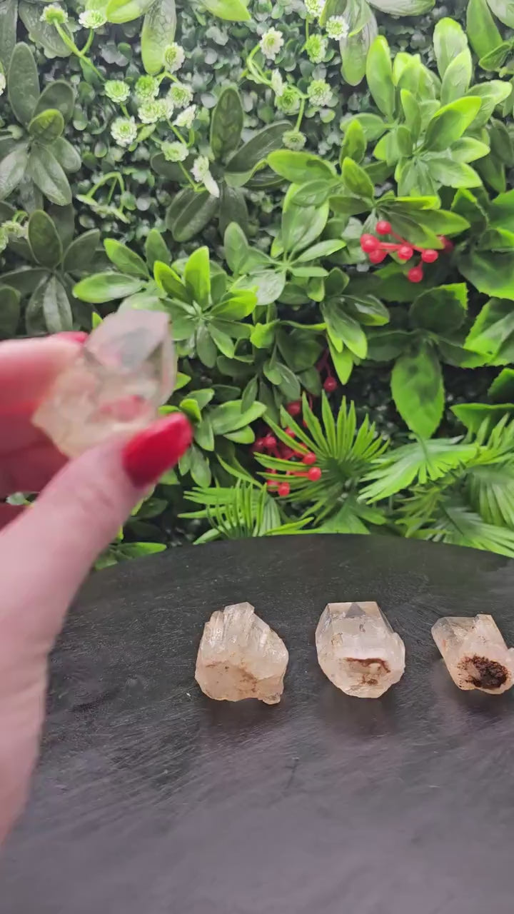 Video