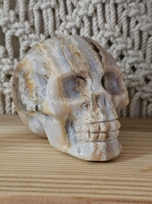 Crazy Lace Agate Skull